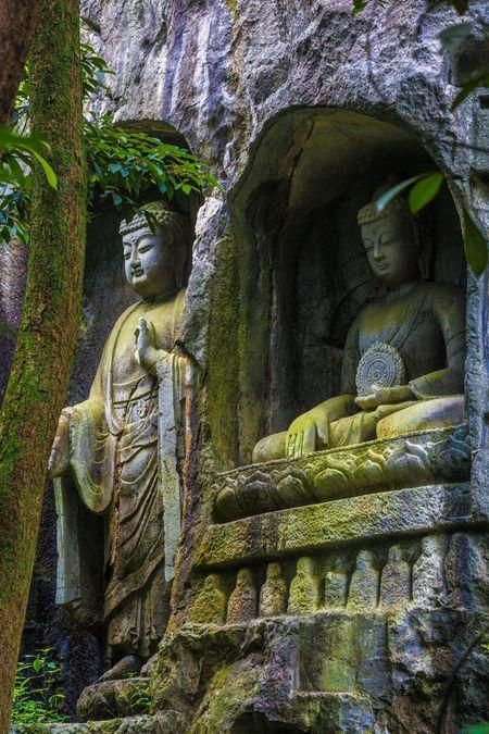 Shanghai Hangzhou Tour 1 Day Tour